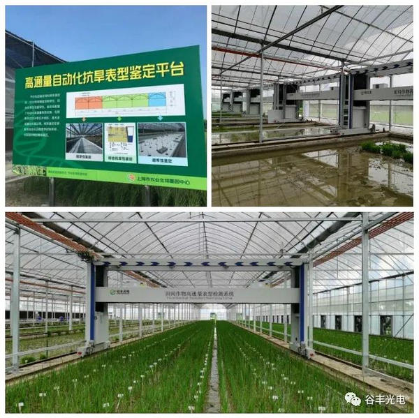 “红星杨科技”智能科技引领现代农业自动化，助力高端装备