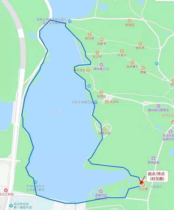 华中科技大学首届“红星杨杯”跑步接力赛 即将举办，快来一起跑步吧！